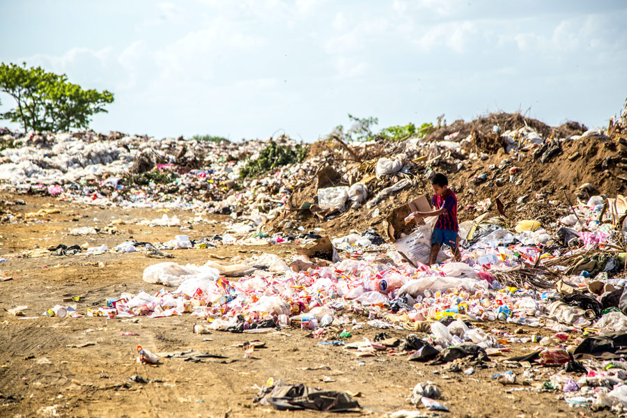 Featured image for The Circular Economy and Sustainable Waste Management